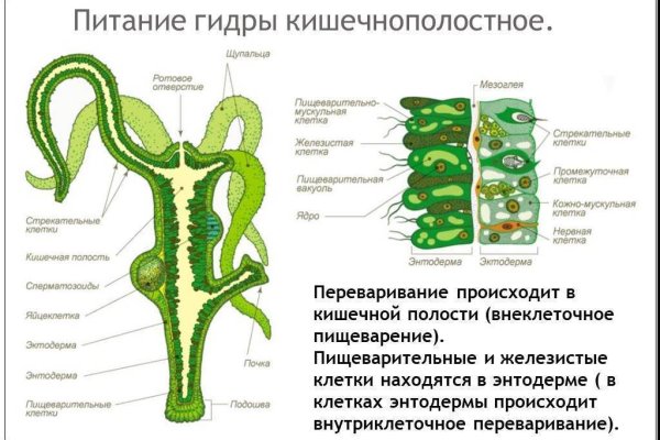 Кракен kr2link co