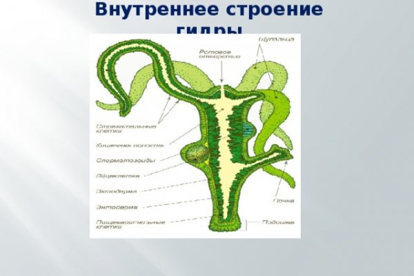 Кракен заблокировали